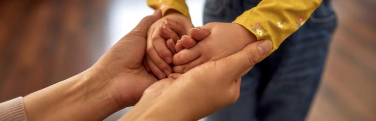 Adults hands cupping a child's hands